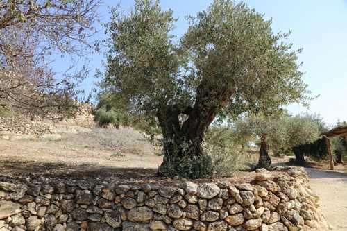 Israel